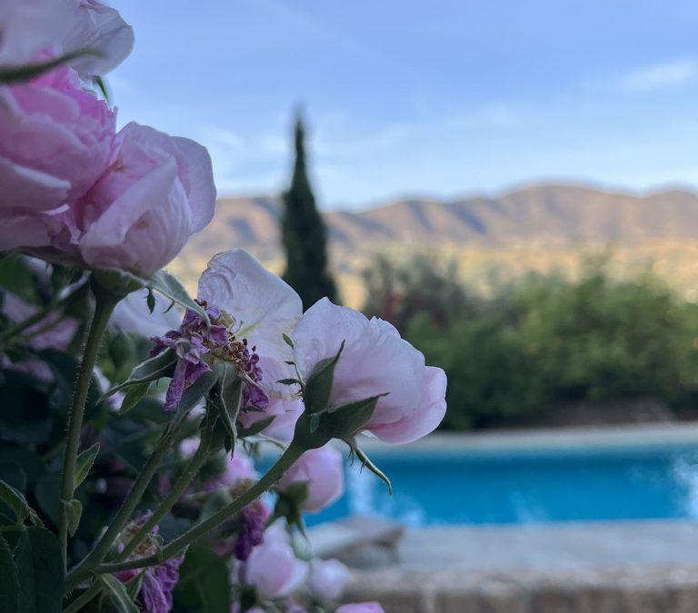 Retræte i skønne, skønne Andalusien på Garden of Lemons